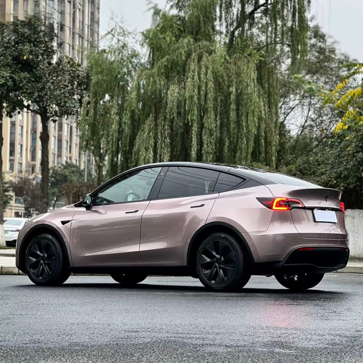 TPU Copper Metallic Berry