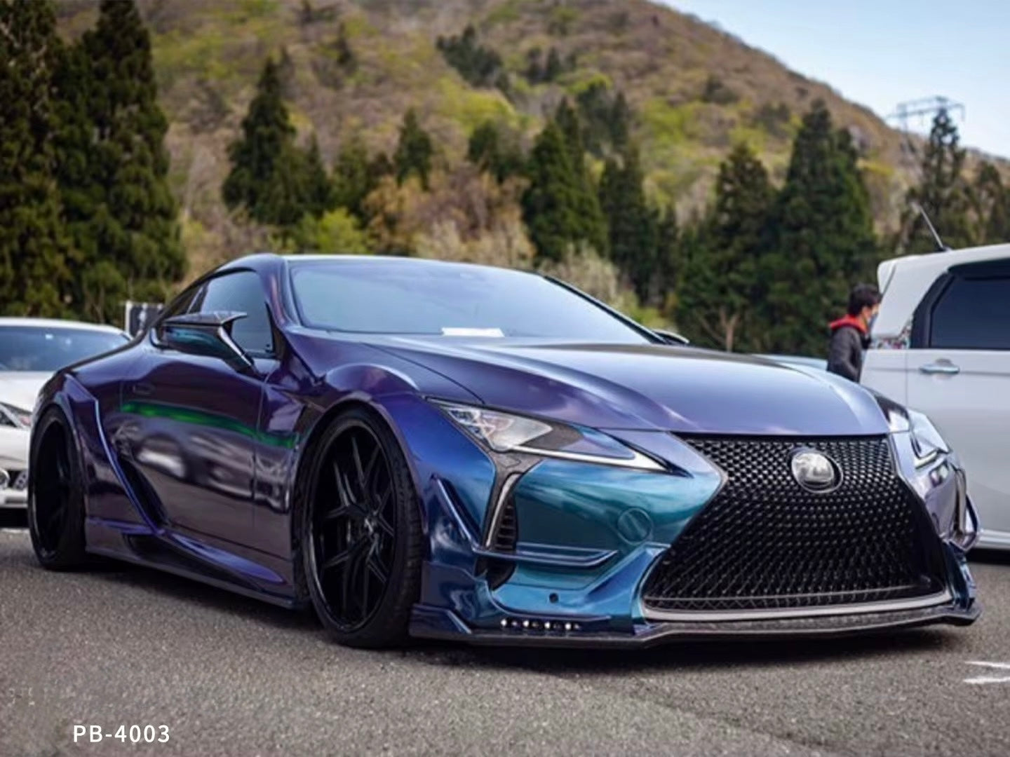 Chameleon Purple/Blue