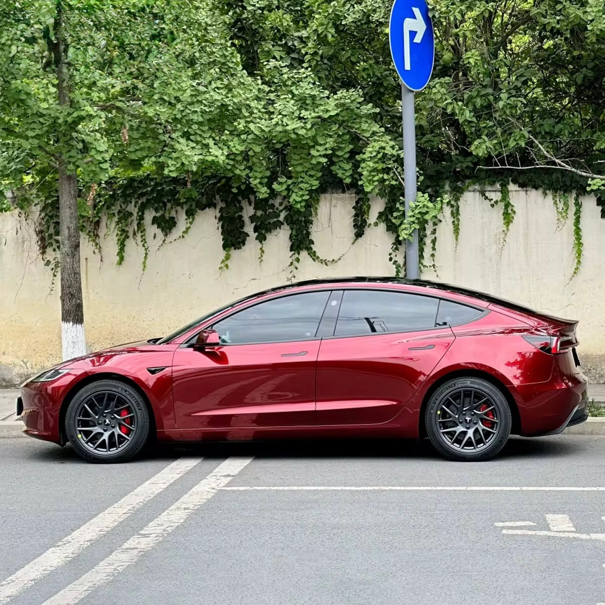 TPU Dragon Blood Red