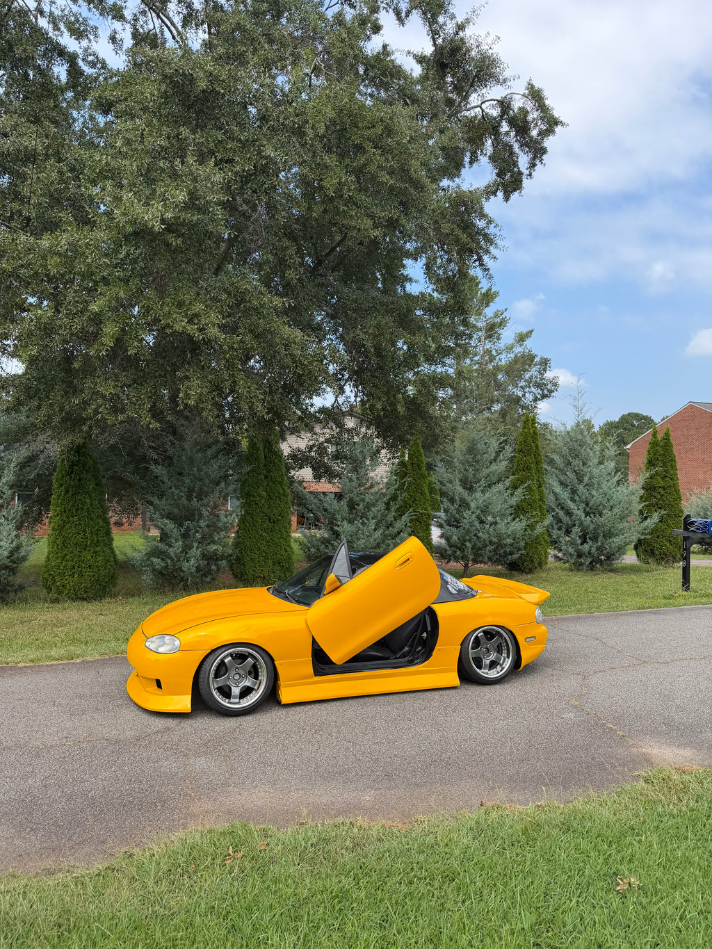 Satin Metallic Maple Leaf Yellow