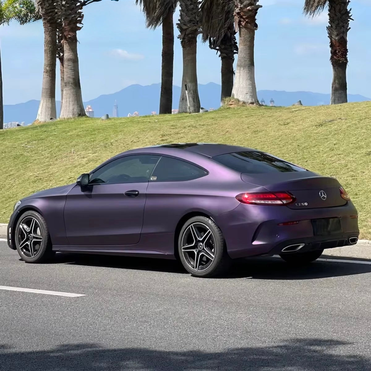 TPU Matte Black/Purple