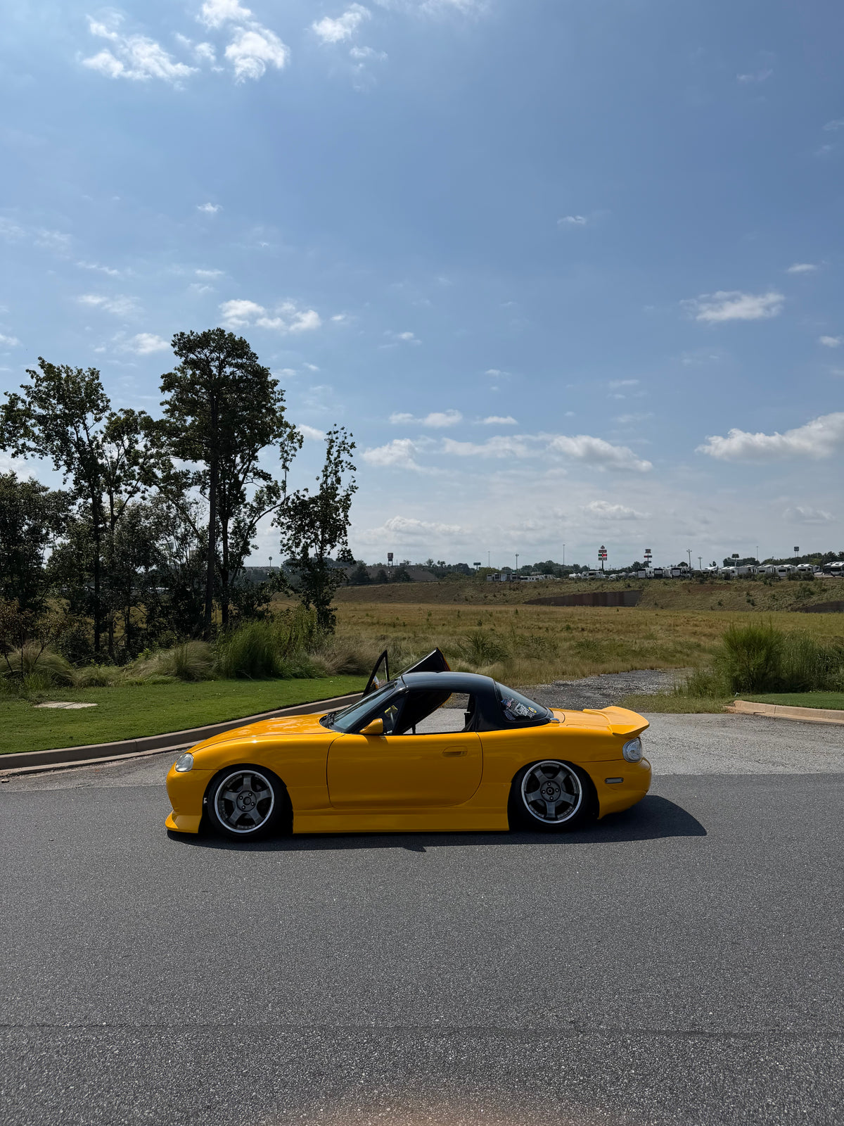 Satin Metallic Maple Leaf Yellow