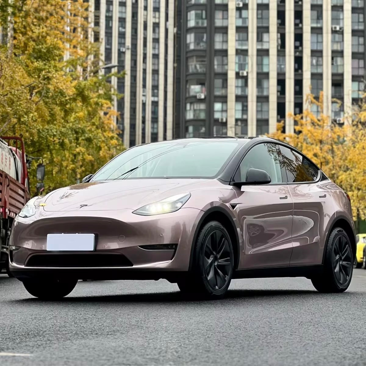 TPU Copper Metallic Berry