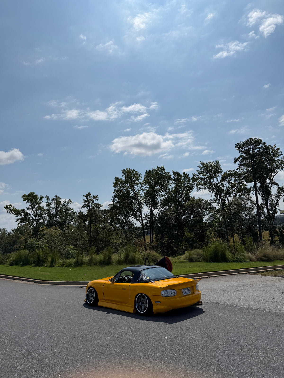 Satin Metallic Maple Leaf Yellow